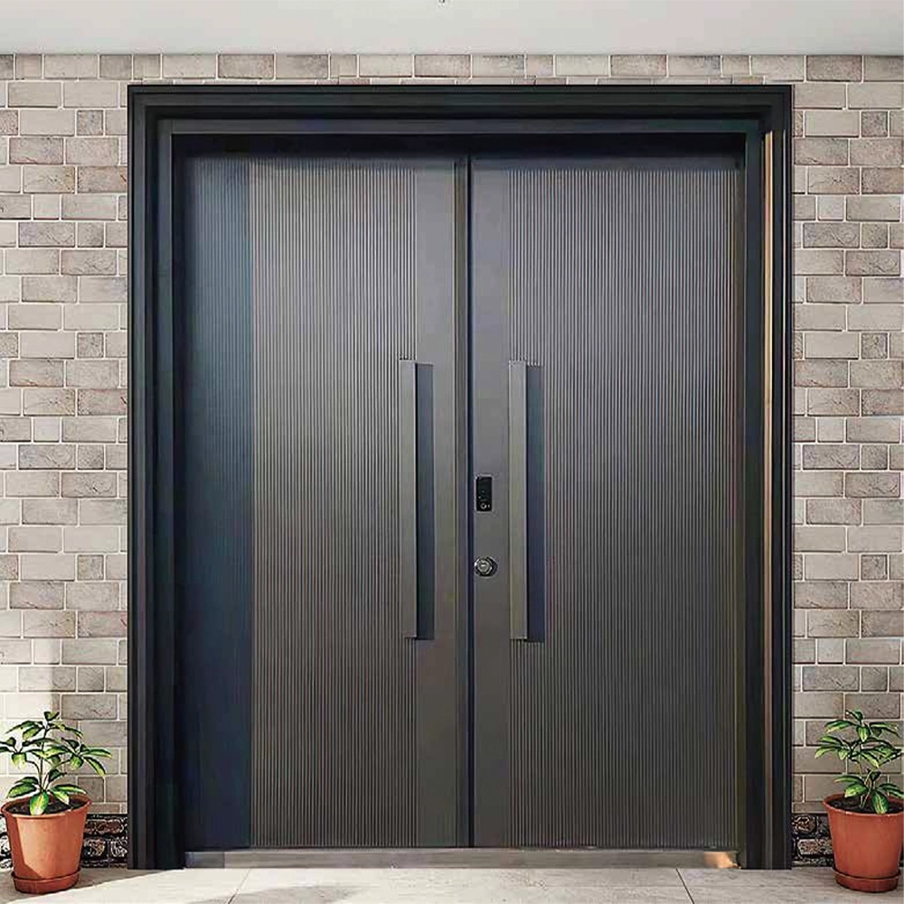 Modern double doors